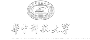 完美电竞